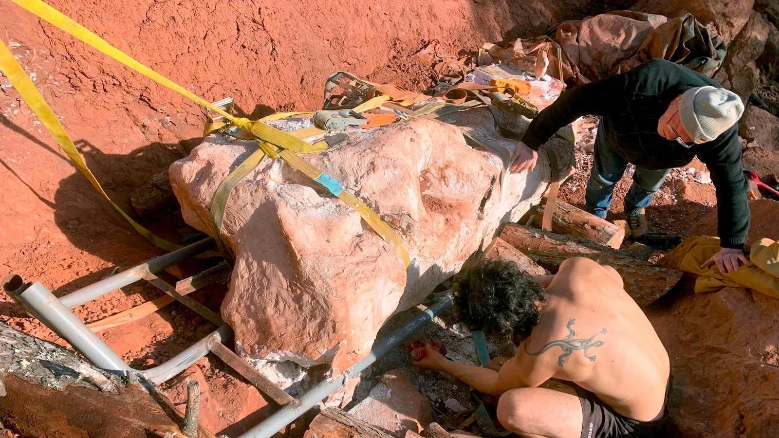 "Dog Walker Discovers 70-Million-Year-Old Dinosaur Skeleton"