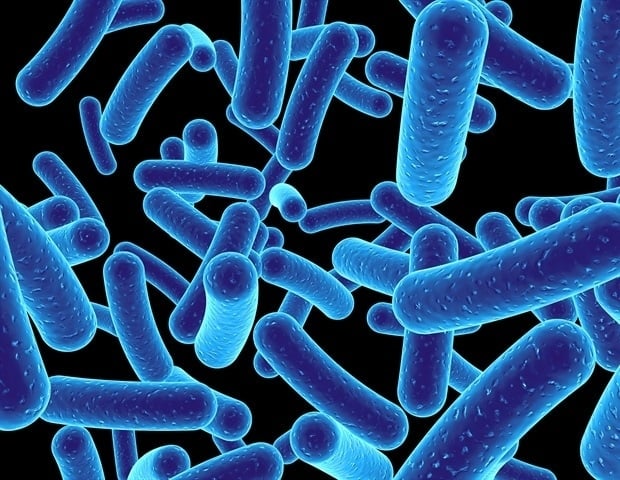 Featured image for Discovery of New Bacterial Species Linked to Tooth Decay