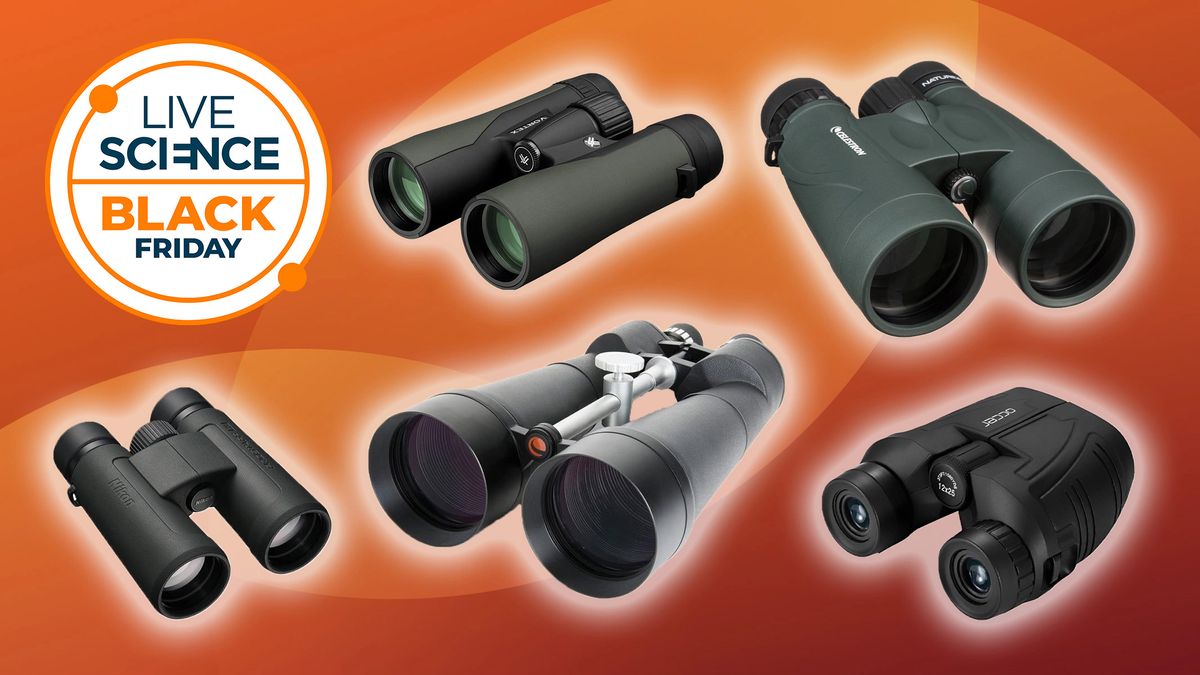 Featured image for Top Black Friday Deals on Binoculars, Telescopes, and Space Gifts