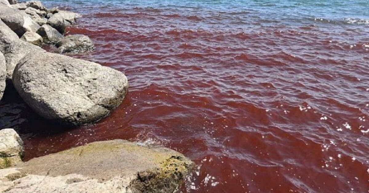 Featured image for Sea of Galilee Turns Blood Red, Sparking Local Panic