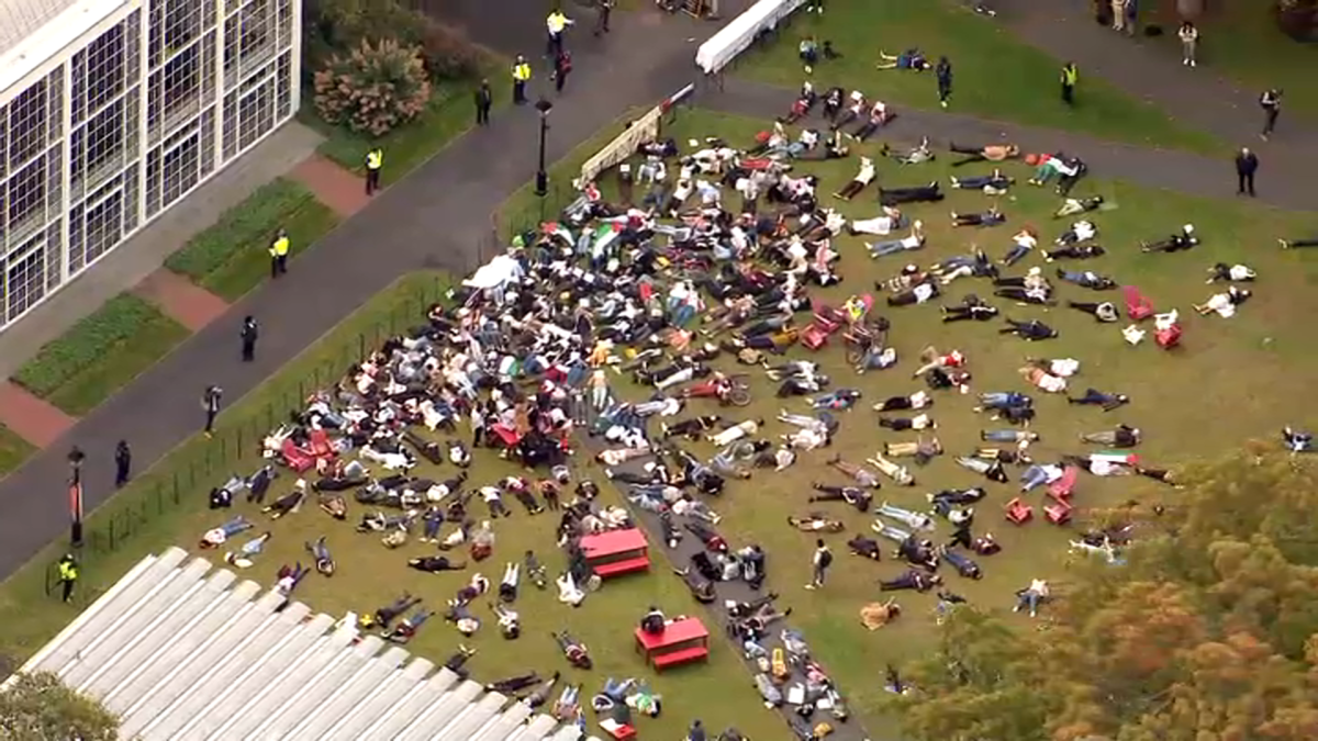"Harvard Students Protest Israel's Actions in Gaza with 'Die-In' and March"