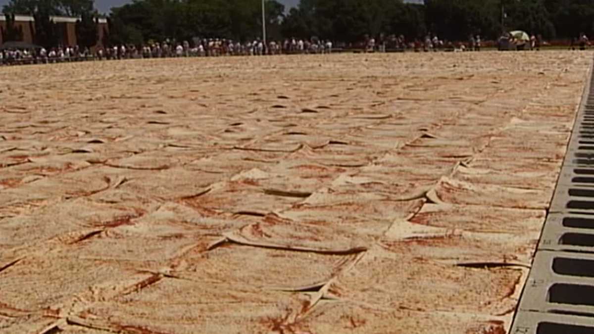 "Town's Ambitious Quest: Baking the World's Largest Pizza"