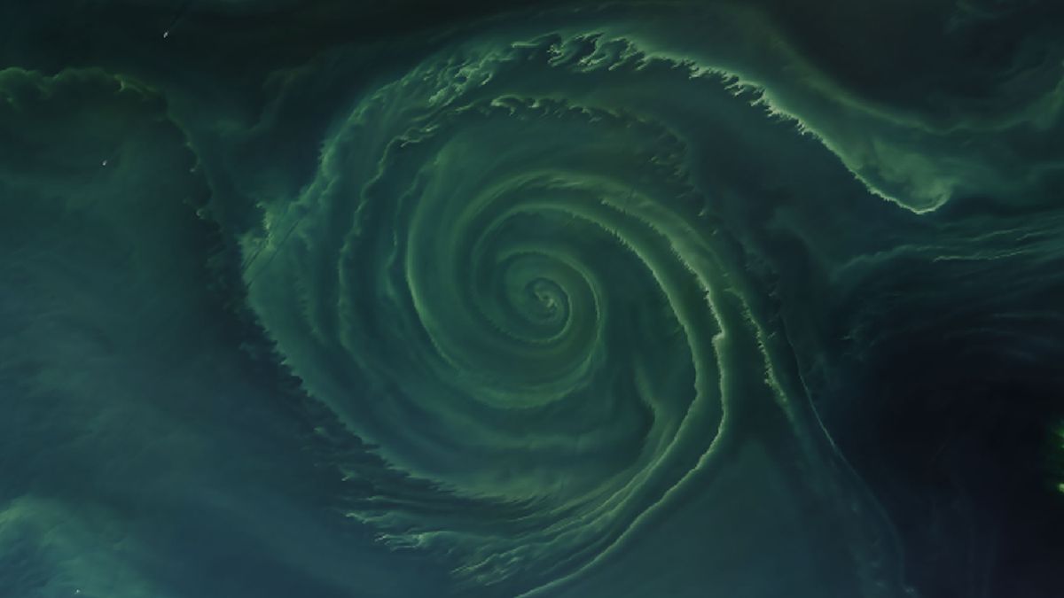 Featured image for "Ethereal Algal Vortex Blooms in Baltic 'Dead Zone' Seen from Space"