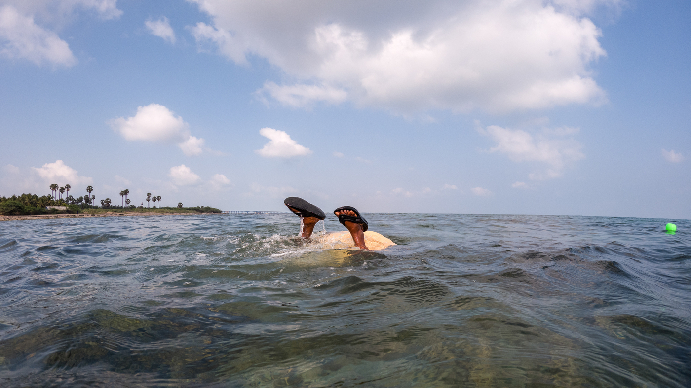 India's Fearless Women Seaweed Divers: A Story of Perseverance.