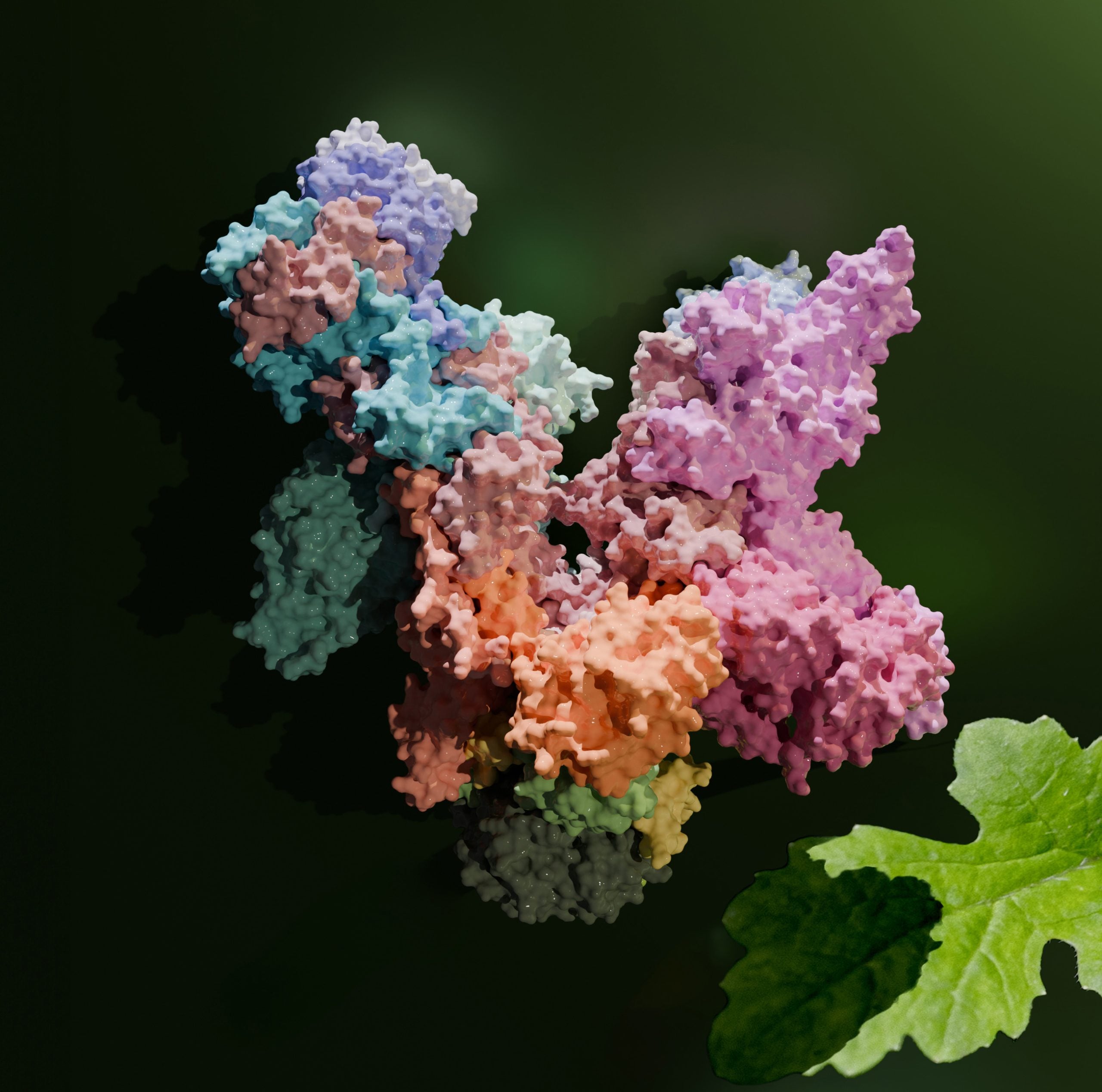 Featured image for "Revealing the Hidden Machinery of Photosynthesis: Breakthrough 3D Visualization"