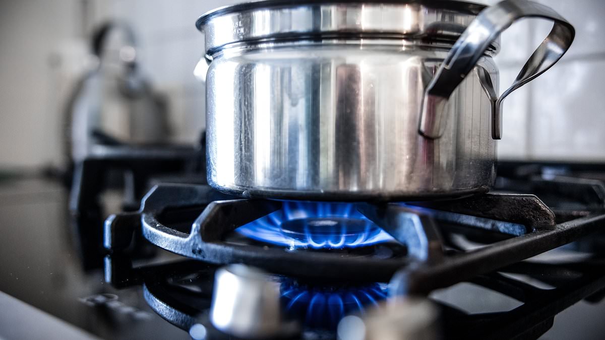 Featured image for Gas Stove Cooking Poses Greater Health Risks Than Car Exhaust, Study Finds