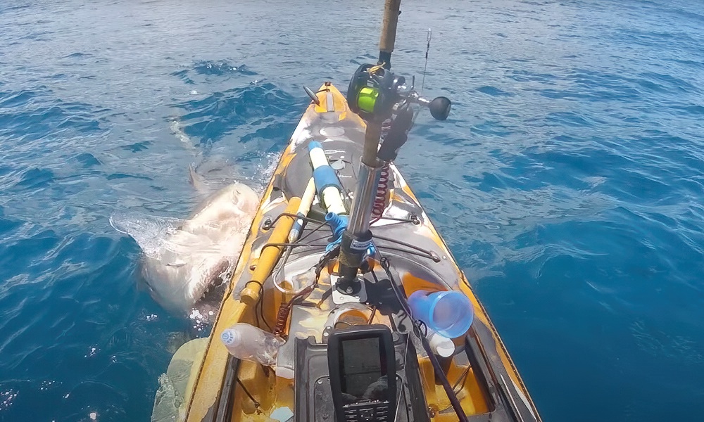Featured image for Kayaker's Close Encounter with Shark Caught on Camera in Hawaii