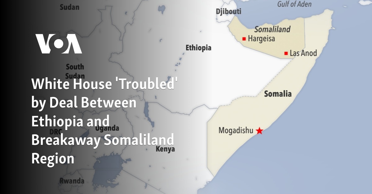 Ethiopia-Somaliland Deal Sparks International Concern
