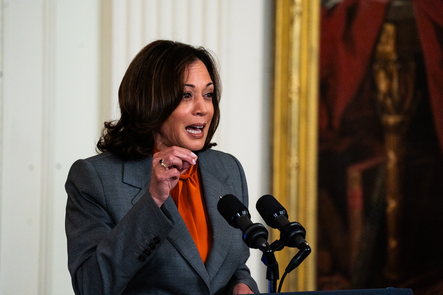 State Legislators Join White House in Push to Curb Gun Violence