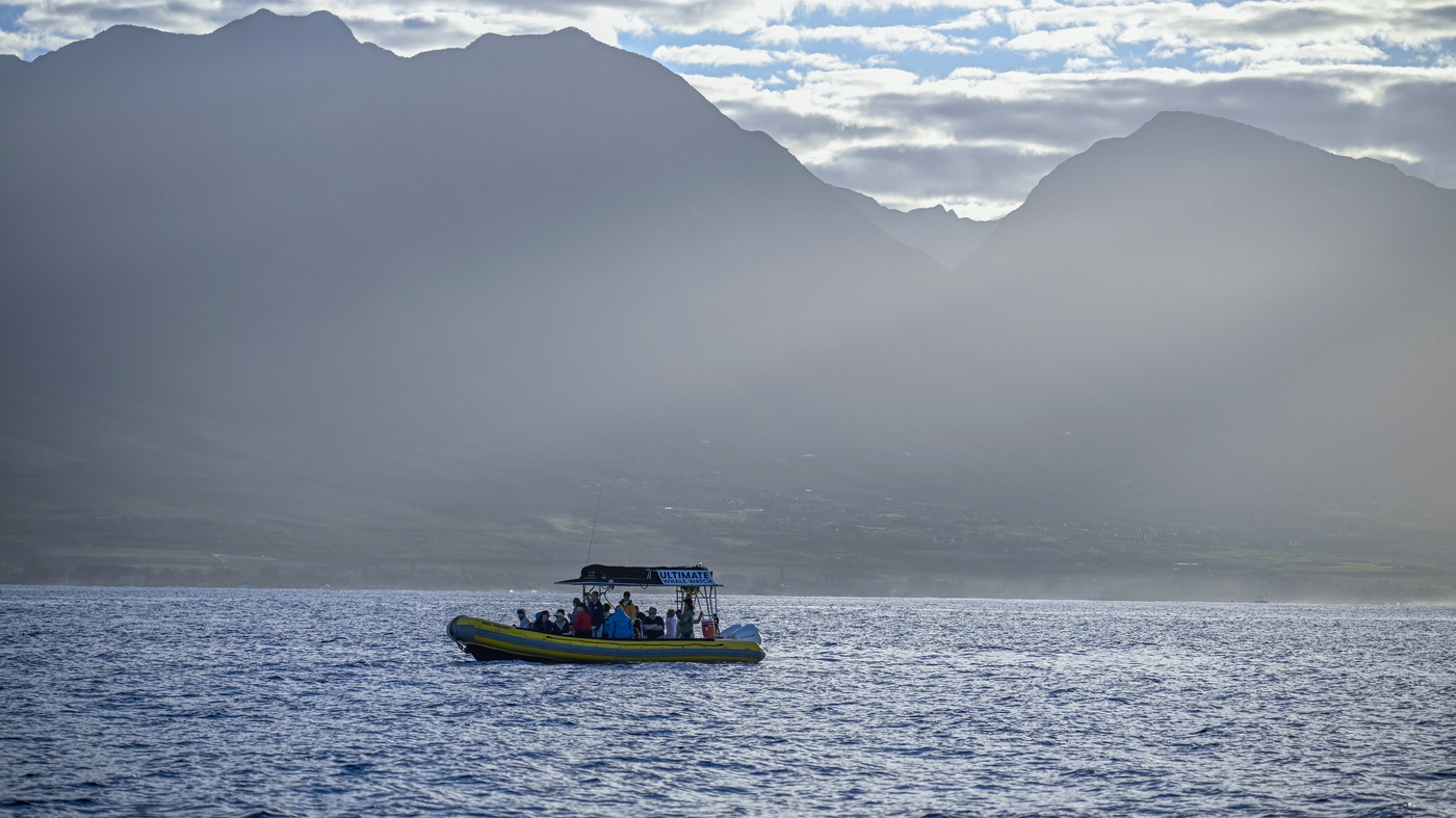 "Recovery and Challenges: Reflecting on Six Months Since the Maui Fires"