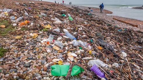 "Link Between Microplastics and Increased Heart Attack and Stroke Risk Confirmed by Study"