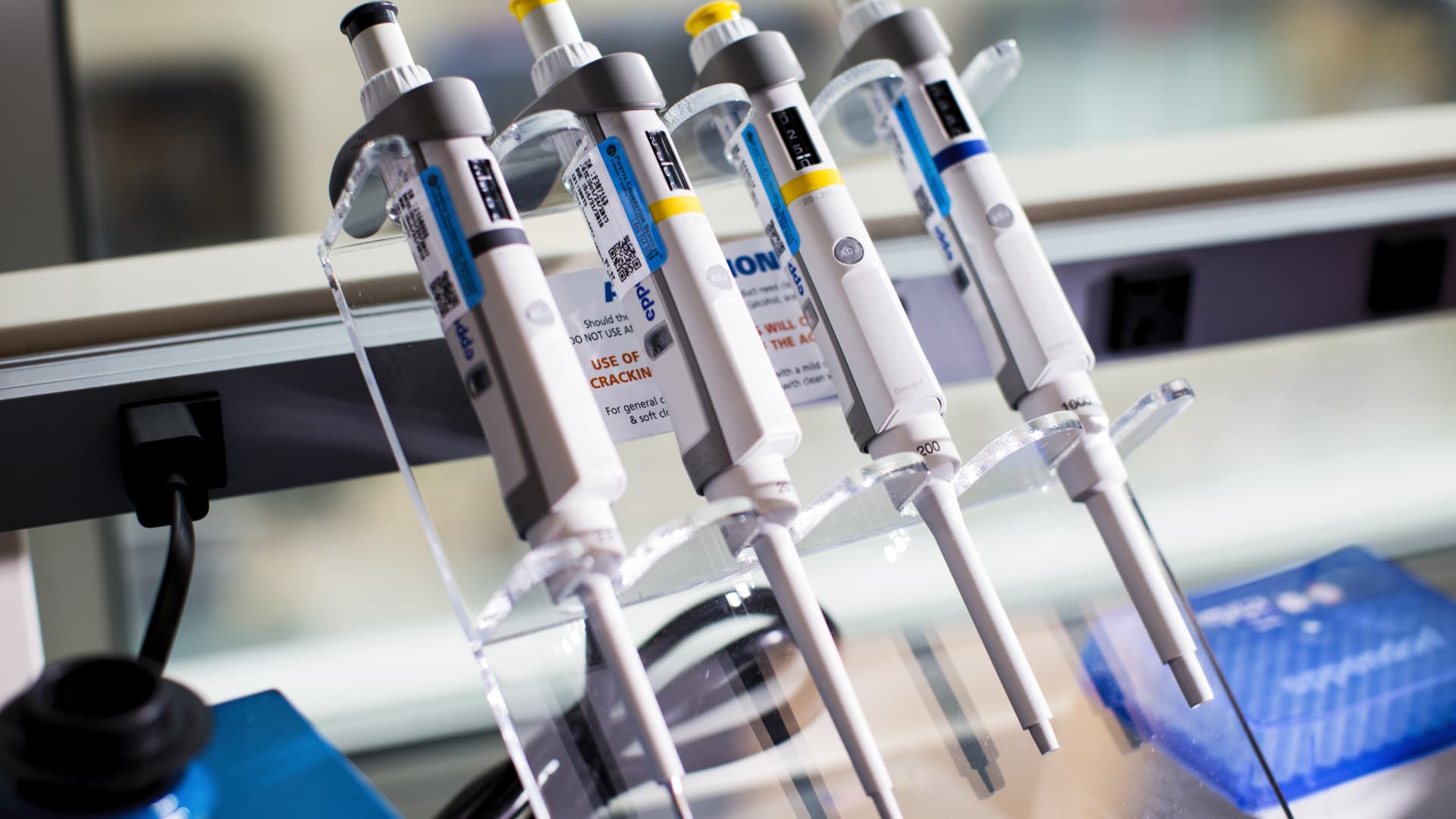 Featured image for "Midday Market Watch: Apple and Tesla Lead as Stocks Swing, Dow Futures React"