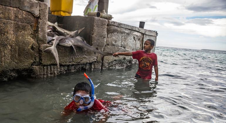 UN General Assembly seeks World Court's opinion on countries' climate duties.