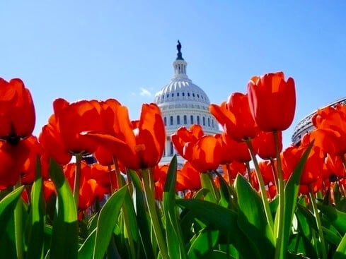 Featured image for Heightened Fire Danger: Dry and Windy Conditions Pose Risk