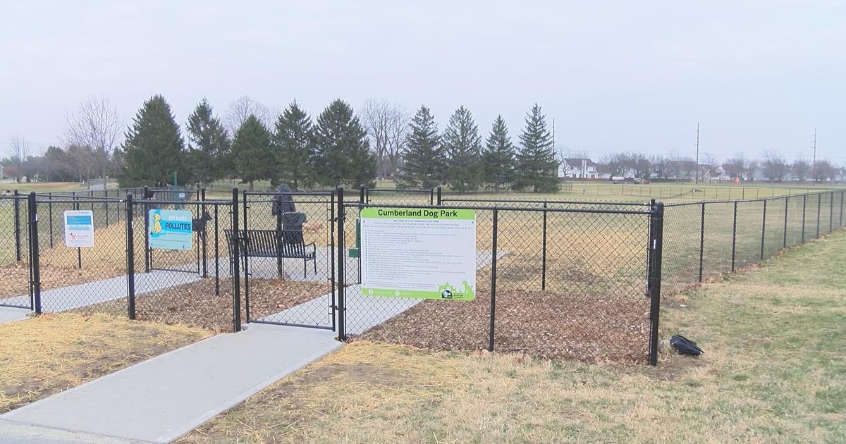 Featured image for Dog Parks Closed and Precautions Taken Amidst Nationwide Dog Respiratory Disease Outbreak