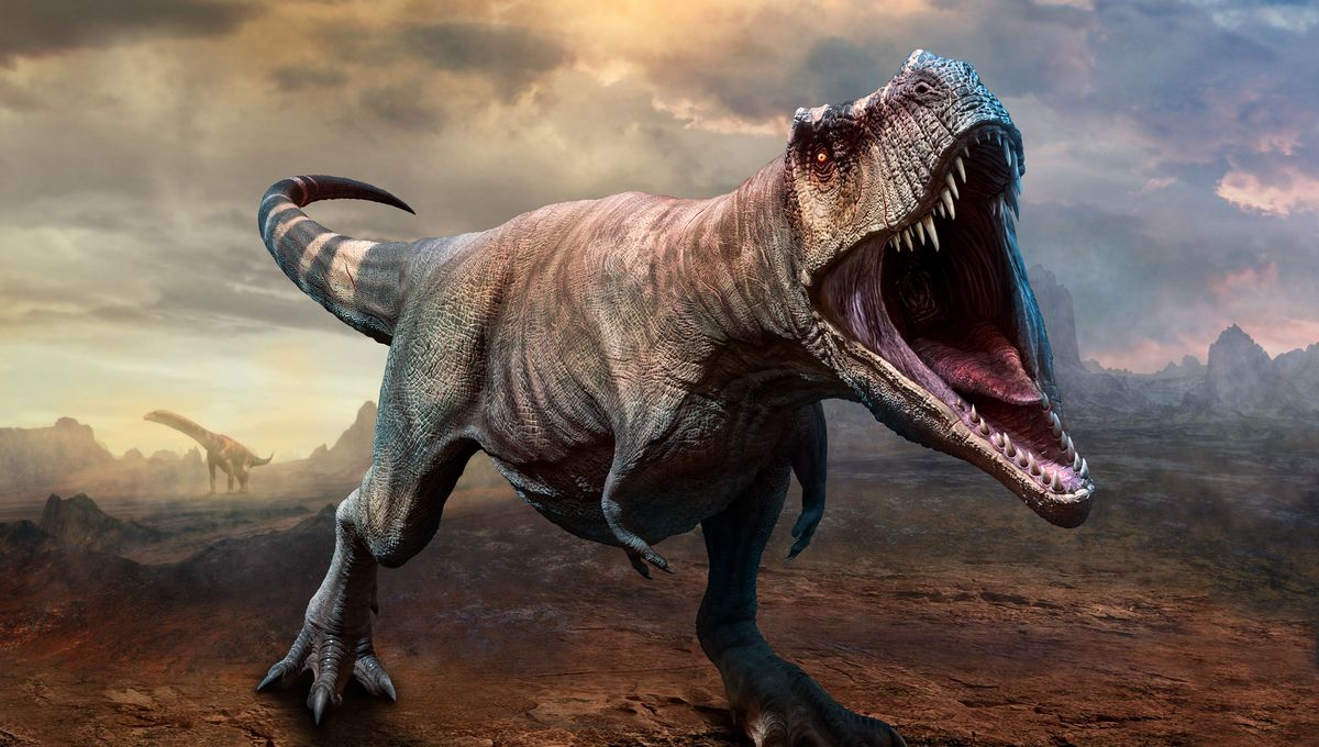 Featured image for "The Evolutionary Mystery of T. Rex's Tiny Arms"