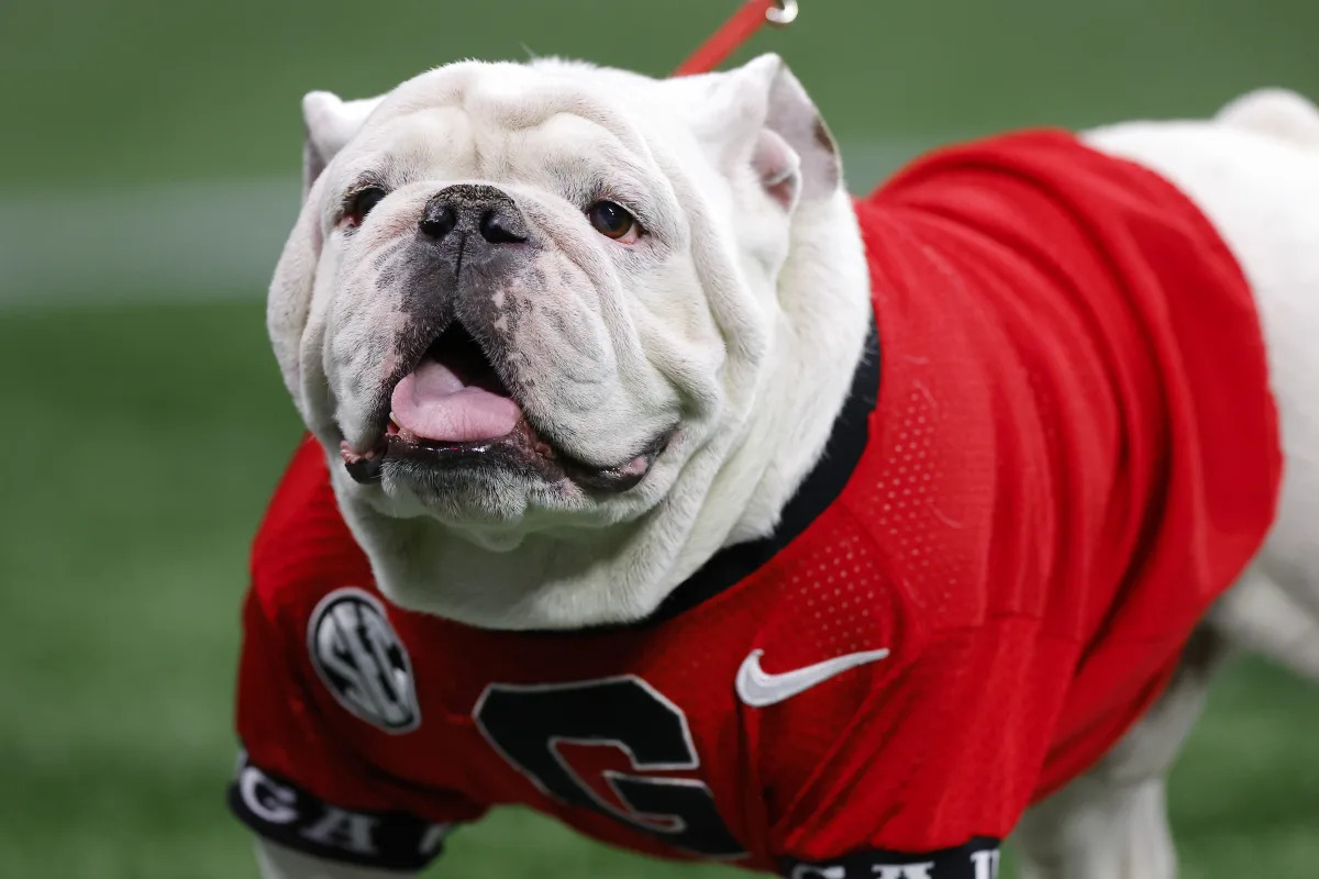 "Georgia Football's G-Day 2023: Highlights and Updates"
