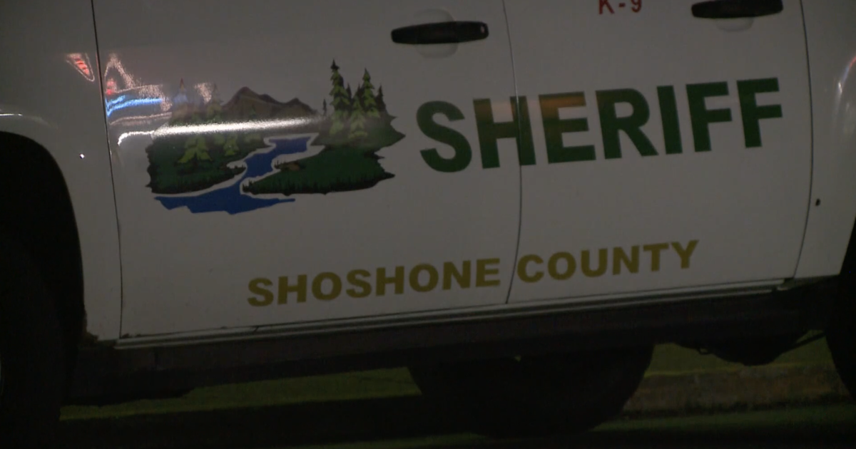 Tragic Murder-Suicide Claims Lives of Pregnant Mother and Toddler in Idaho Home