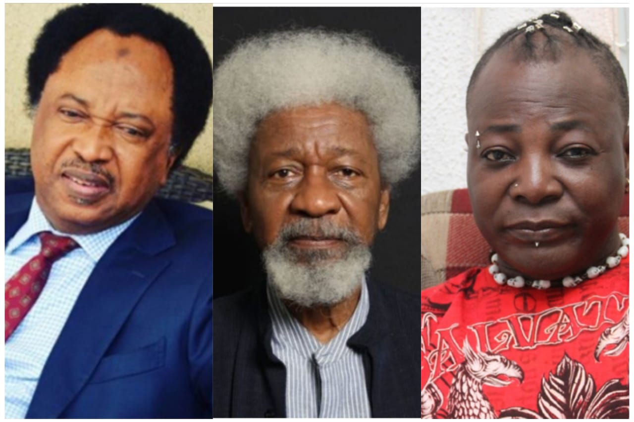 Soyinka's Controversial Comments on "Obidients" Spark Disagreement and Criticism.