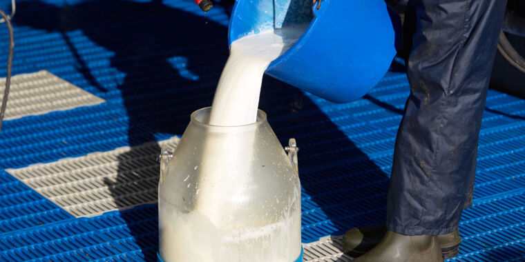 "Raw Milk from H5N1-Infected Cows Spreads Bird Flu to Mice"