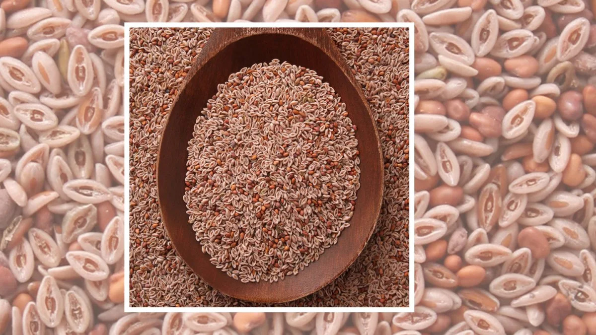 Featured image for The Affordable Substitute: Psyllium Husk as a Budget-Friendly Ozempic Alternative