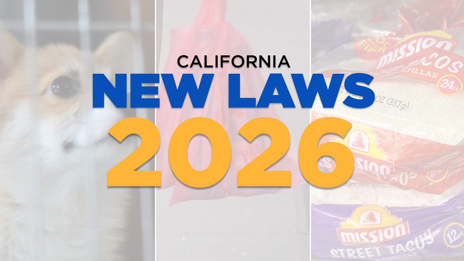 Featured image for California's 2026 Laws: Banning Plastic Bags, Changing Streaming, and Regulating Chatbots