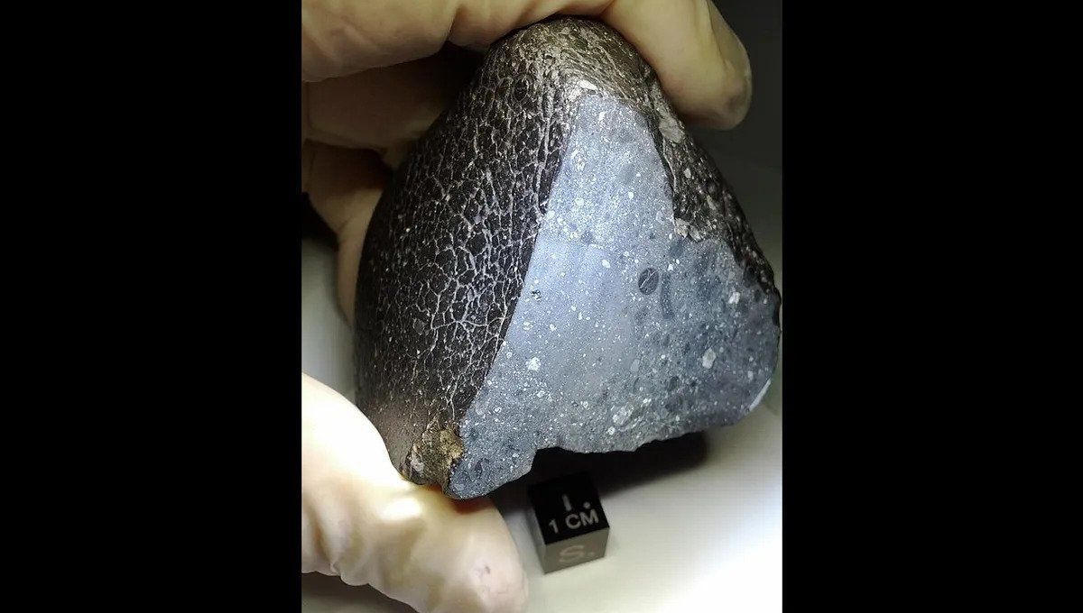 The Dangers of Magnet Hunting for Meteorites