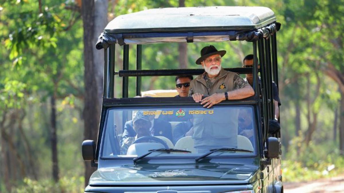 PM Modi's Jungle Safari and Conservation Efforts in Karnataka's Tiger Reserve