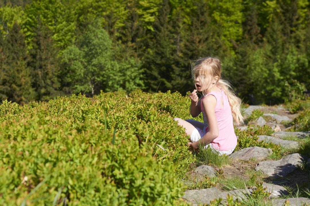 Featured image for "ADHD Traits as Evolutionary Foraging Advantage, Study Finds"