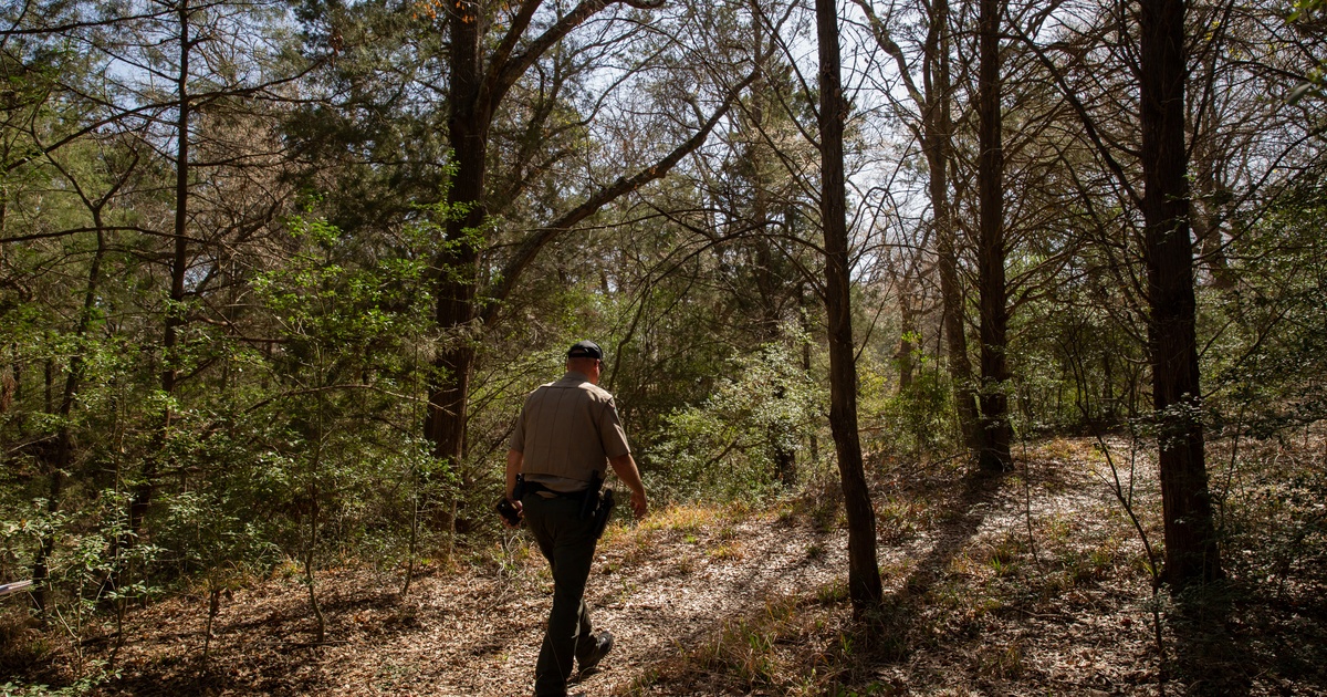 Featured image for Texas Parks and Wildlife Department uses eminent domain to protect Fairfield Lake State Park.