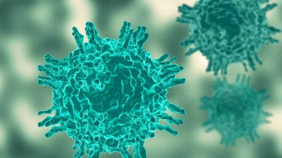 Measles Outbreak in Grand Traverse County Prompts Vaccination Efforts