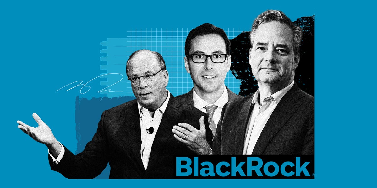 "Unveiling the Culture Within BlackRock's Male Dominated Sphere"