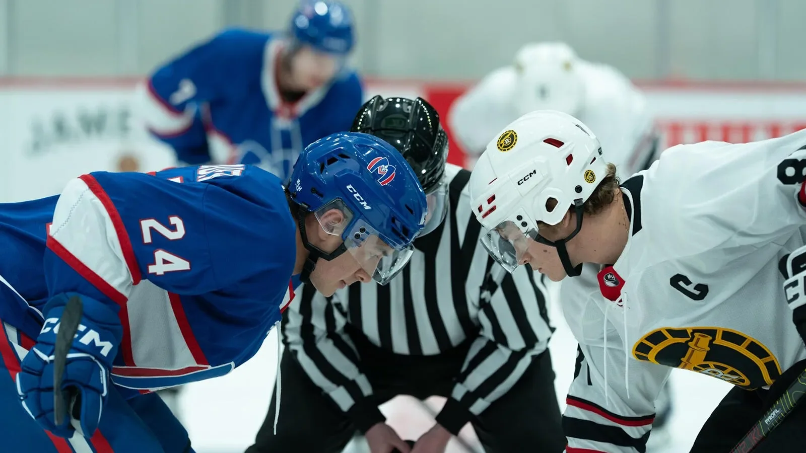 Heated Rivalry Season 2: Release, Cast, and Impact