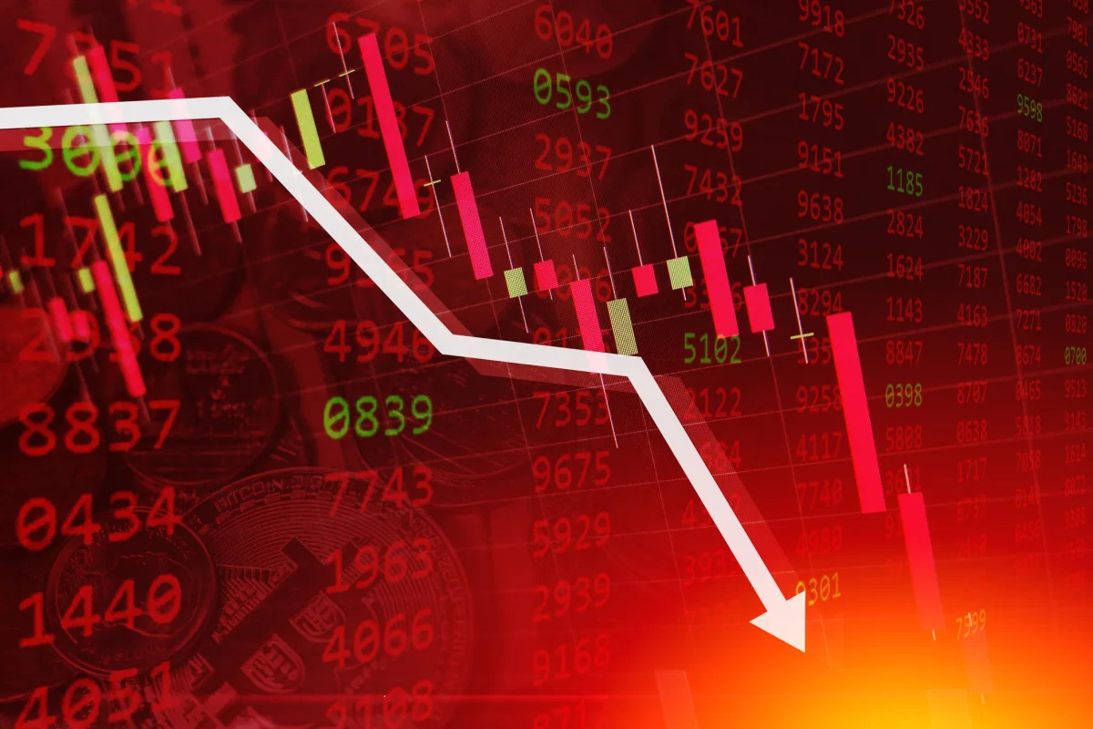 Workday Stock Plummets Amid Weak Guidance and Revenue Forecast