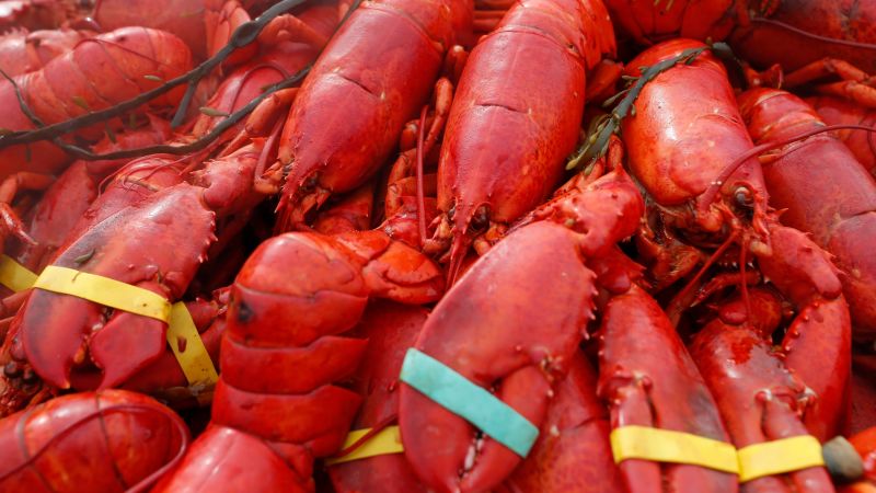 Featured image for $400K Lobster Cargo Theft Targets New England Seafood