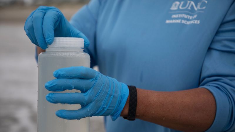 Featured image for Rising Flesh-Eating Bacteria Cases Linked to Climate Change and Coastal Waters