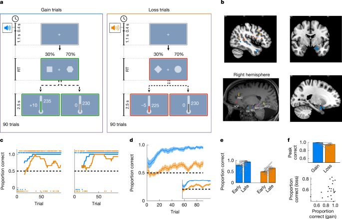 Featured image for Amygdala activity influences exploration during aversive learning