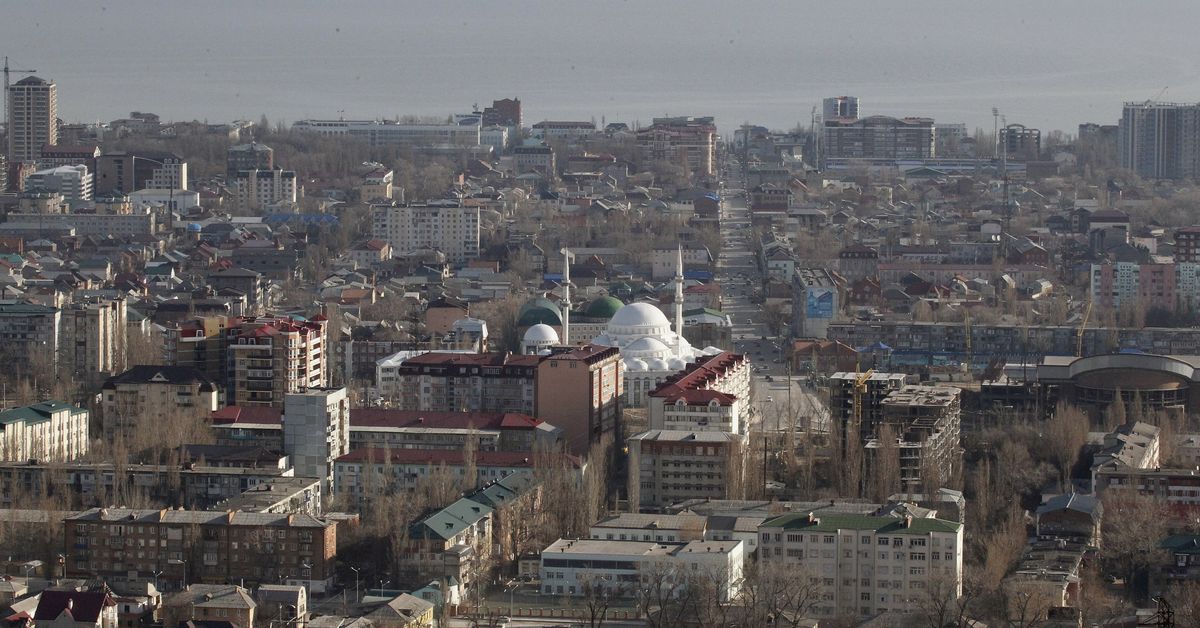 Pro-Palestinian Protesters Cause Chaos at Dagestan Airport