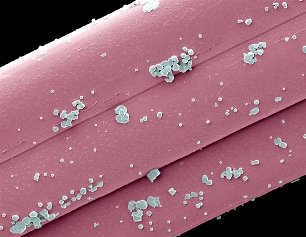 Featured image for Synthetic Nanoparticles Prevent Covid-19 Infection