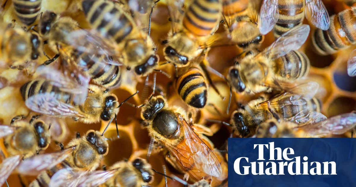 Featured image for States Lead the Charge in U.S. Environmental and Climate Battles of 2025