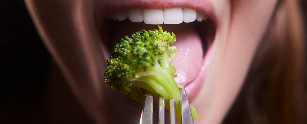 Featured image for "Unlocking Broccoli's Anti-Cancer Compound for Unexpected Health Benefits"