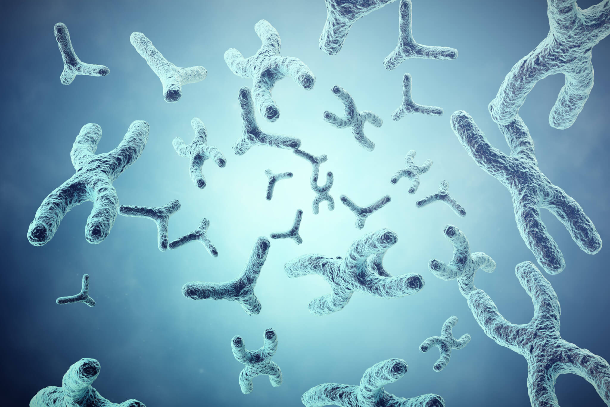 Featured image for "Breakthrough: Creating Designer Human Artificial Chromosomes"