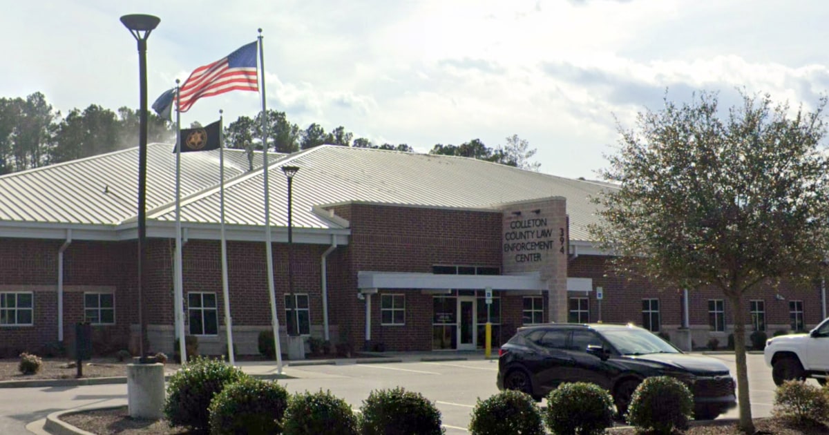 Featured image for "Primate on the Loose in Walterboro, SC: Day 2 of Search"