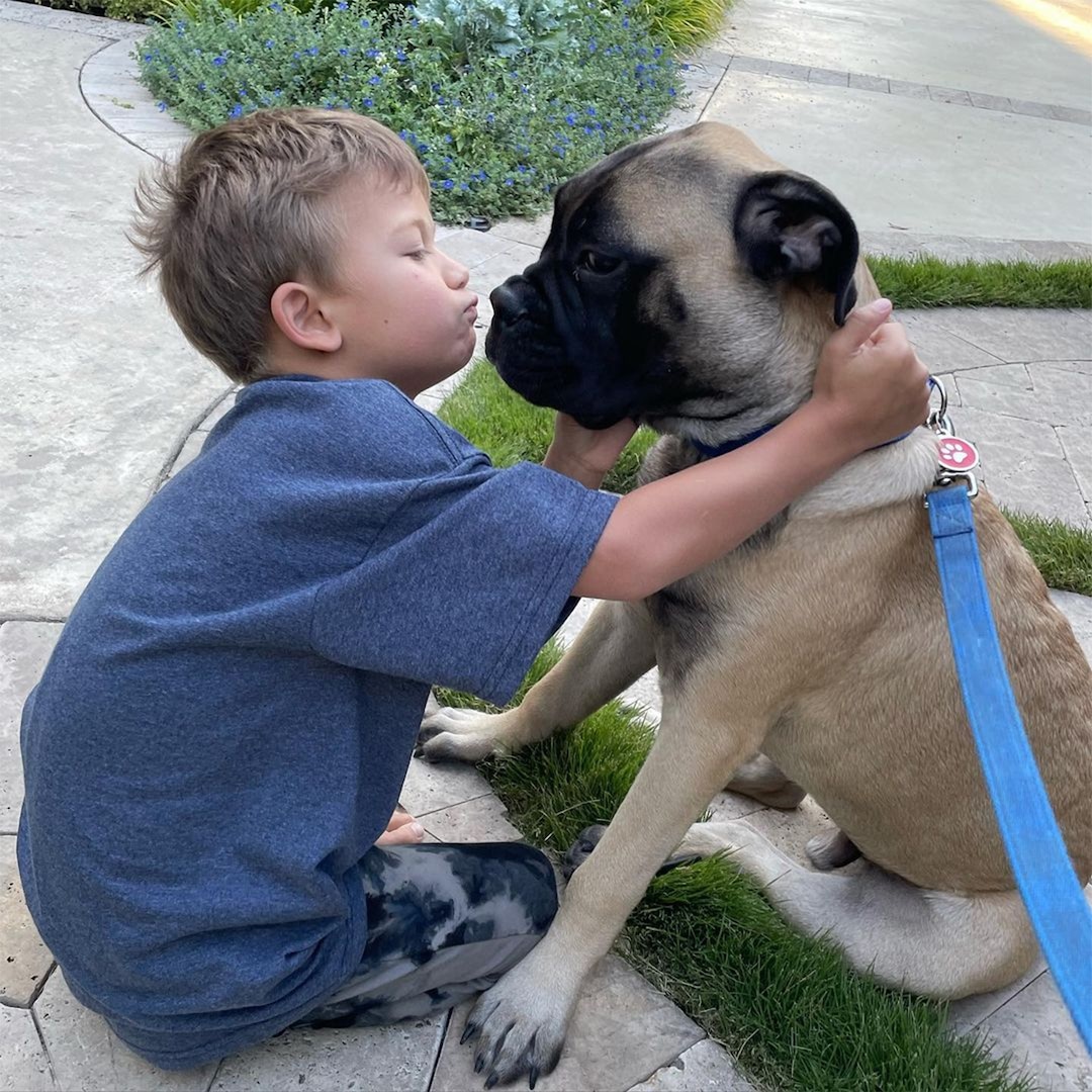 Featured image for Sean Lowe's Family Dog Bites Son, Prompts ER Visit and Rehoming Decision