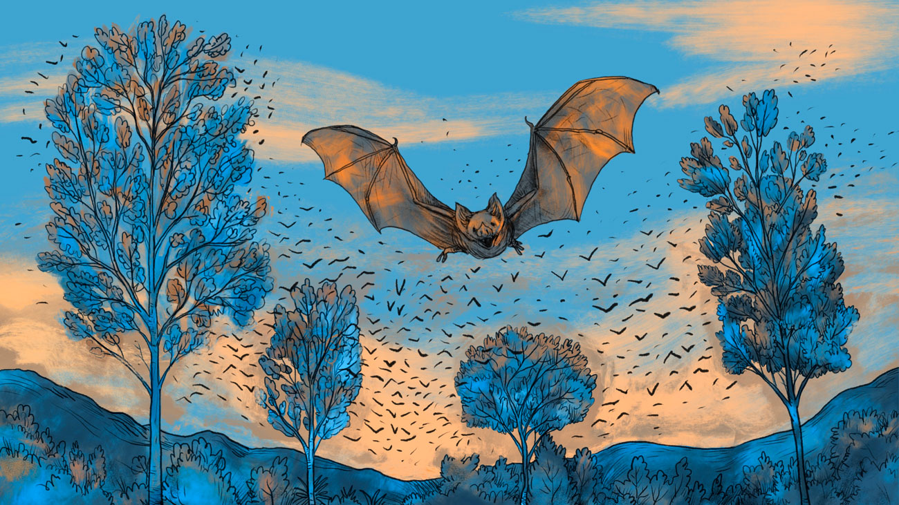 The looming threat of a bat-borne pandemic.