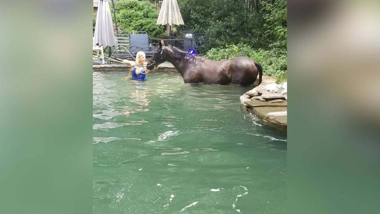 Featured image for Rescue Crews Save Horse and People from Flooding and Pool Mishaps in North Carolina