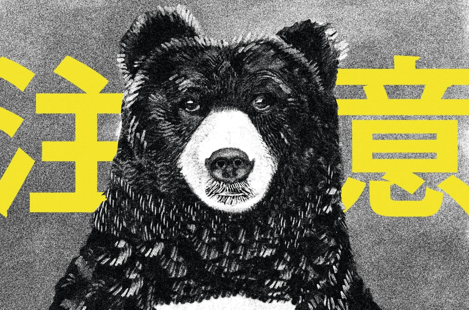 Japan Deploys Military to Combat Rising Bear Attacks