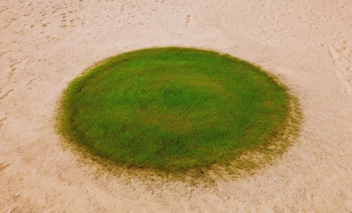 Green Circles Reveal a Lost Arabian Lake