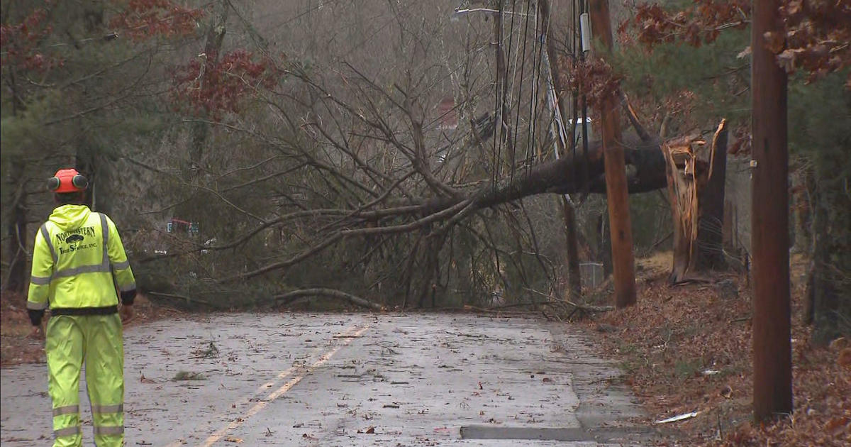 Massachusetts Storm: Record-Breaking Winds Cause Chaos and Power Outages