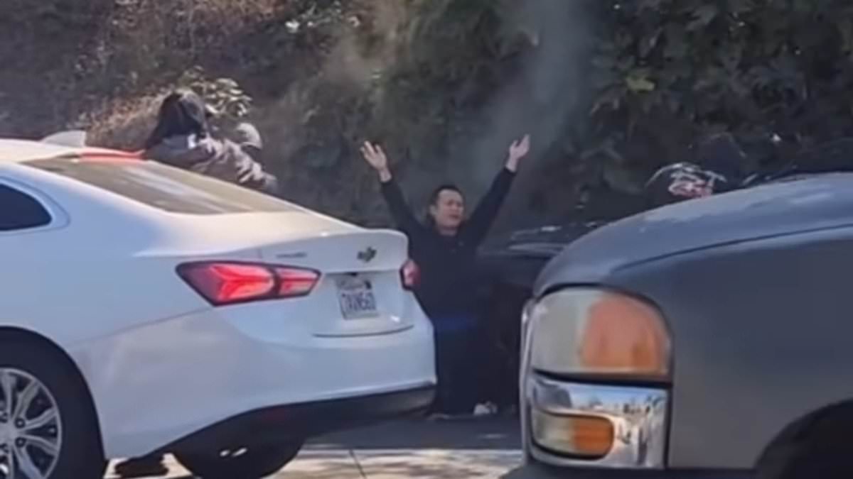 "Shocking Robbery: Victim Targeted on L.A. Freeway After Intentional Crash"